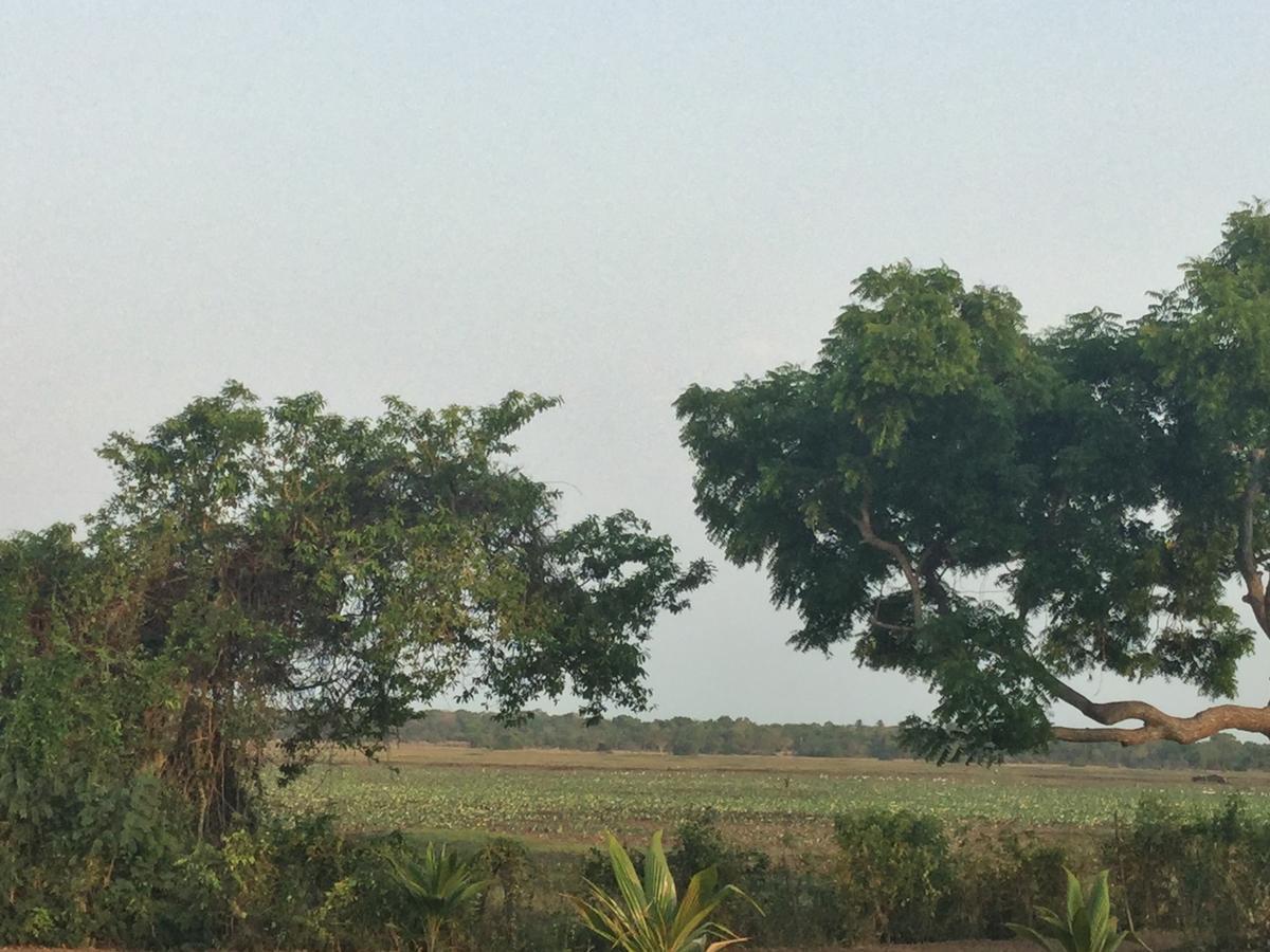 Captain'S Bird Safari Lodge Puttalam Exterior photo