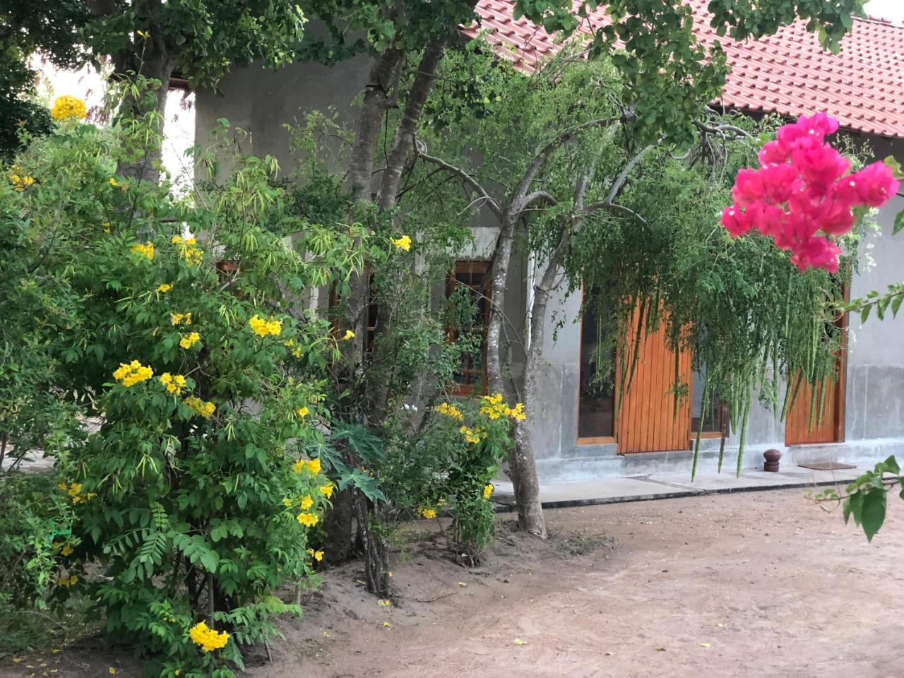 Captain'S Bird Safari Lodge Puttalam Exterior photo