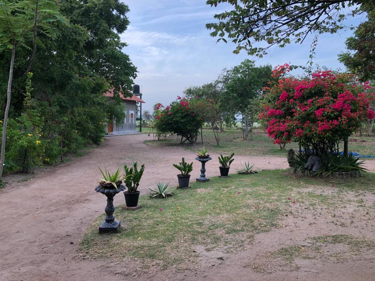 Captain'S Bird Safari Lodge Puttalam Exterior photo