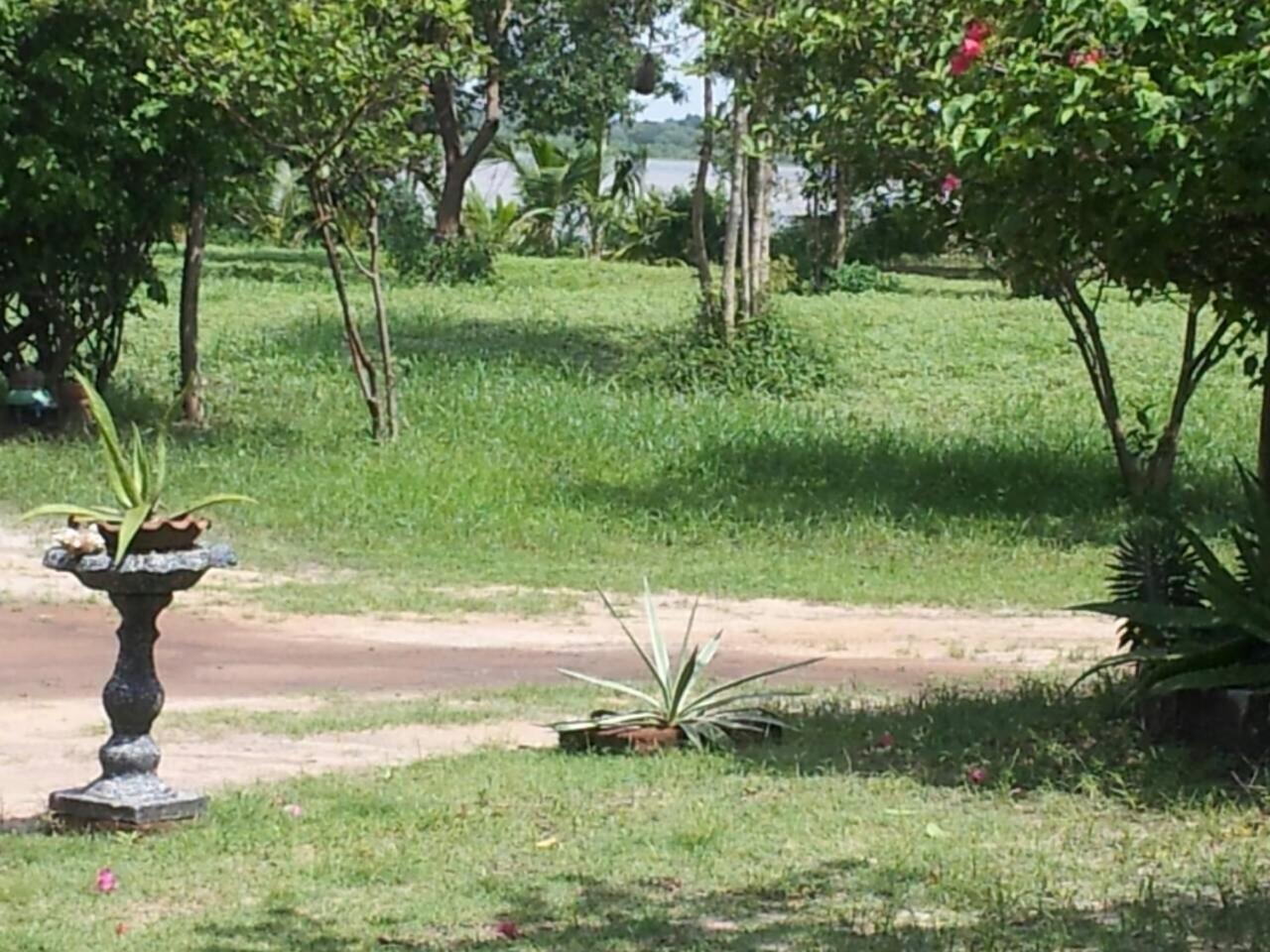 Captain'S Bird Safari Lodge Puttalam Exterior photo