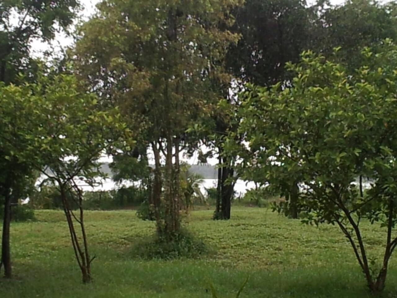 Captain'S Bird Safari Lodge Puttalam Exterior photo