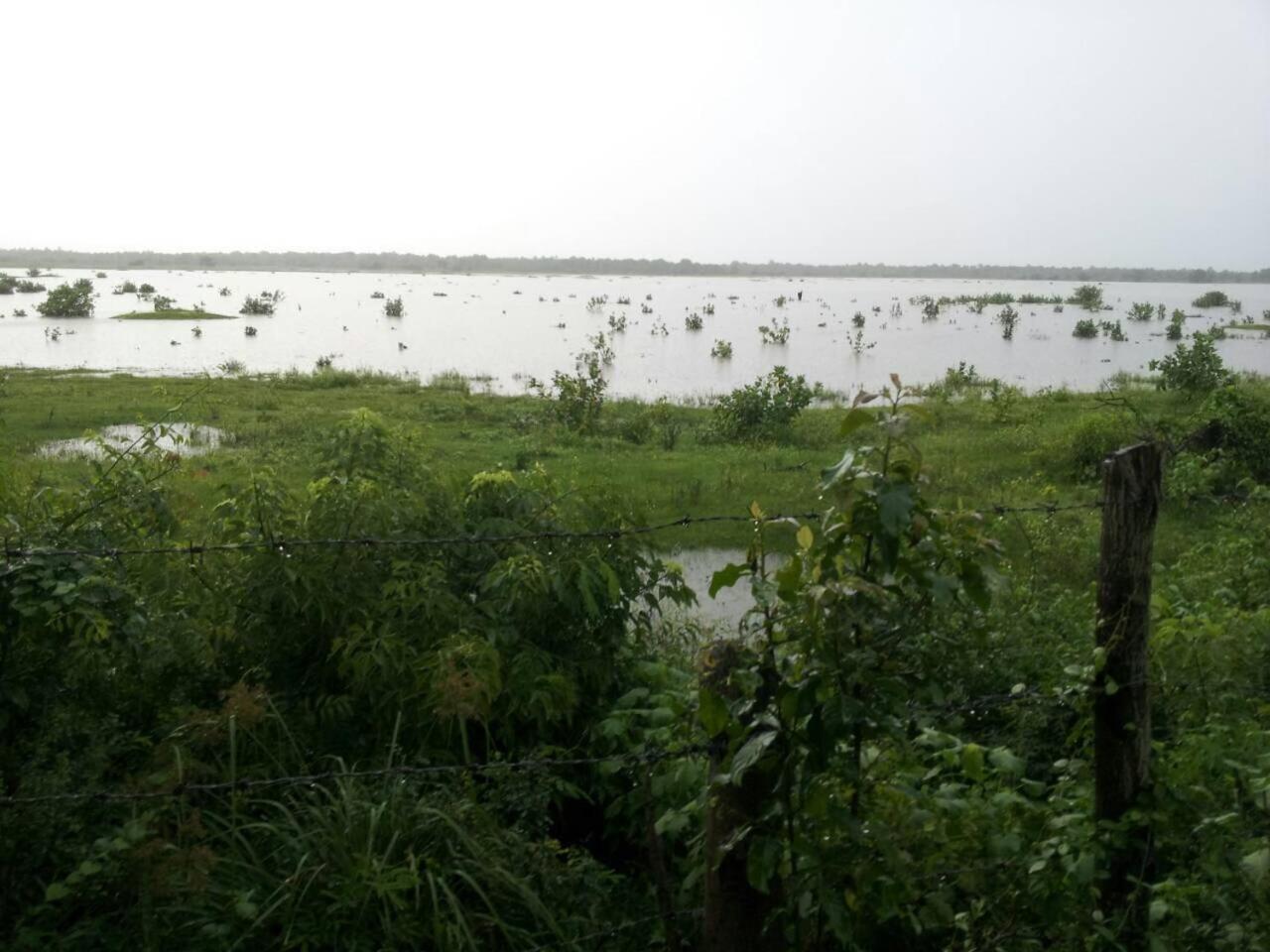 Captain'S Bird Safari Lodge Puttalam Exterior photo