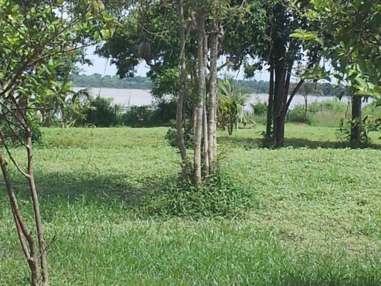 Captain'S Bird Safari Lodge Puttalam Exterior photo